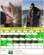 Calendar 2014 - Solunare